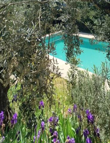 Lorgues – Magnifique bastide en pierre avec piscine et chambres d’hôtes