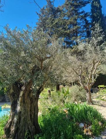 Lorgues – Magnifique bastide en pierre avec piscine et chambres d’hôtes