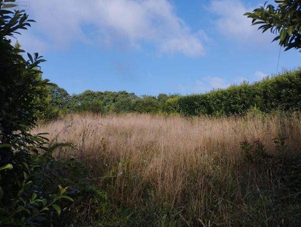 Maison à vendre à Bannalec dans le Finistère (29380), ref : 11352/881