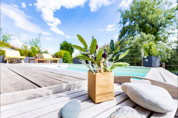 Anglet (64600) L'Orangeraie