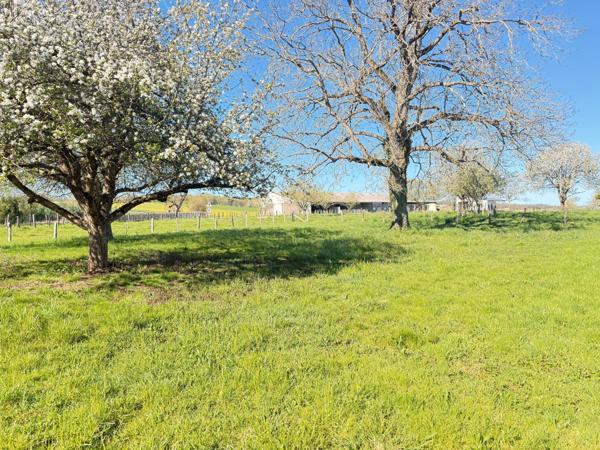 Parcelle de terrain constructible de 890 m2 avec vue dégagée