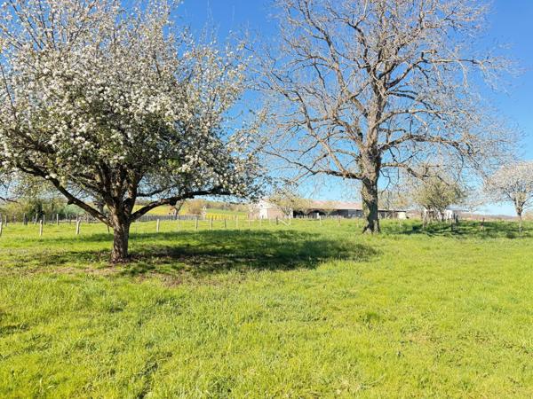 Parcelle de terrain constructible de 890 m2 avec vue dégagée