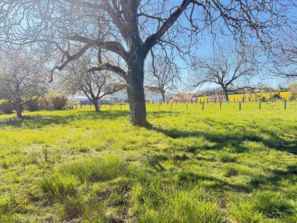 Parcelle de terrain constructible de 890 m2 avec vue dégagée