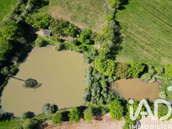 Terrain à vendre 20 970 m² Availles-Limouzine