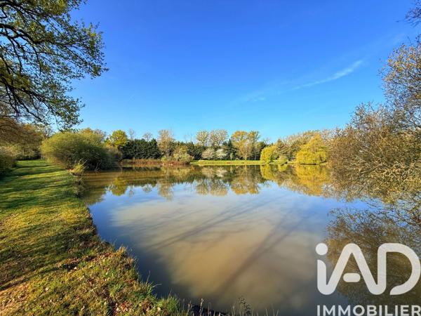 Terrain à vendre 20 970 m² Availles-Limouzine