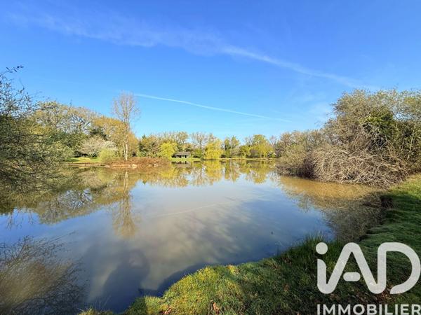 Terrain à vendre 20 970 m² Availles-Limouzine