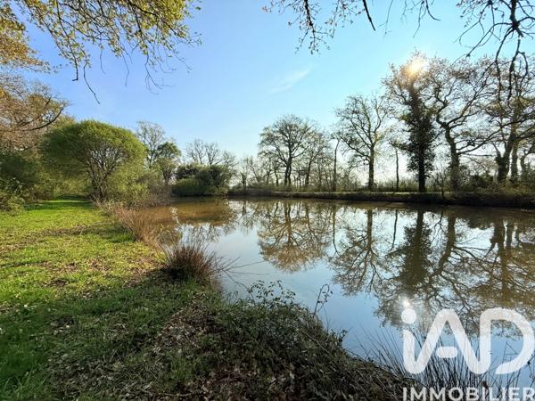 Terrain à vendre 20 970 m² Availles-Limouzine