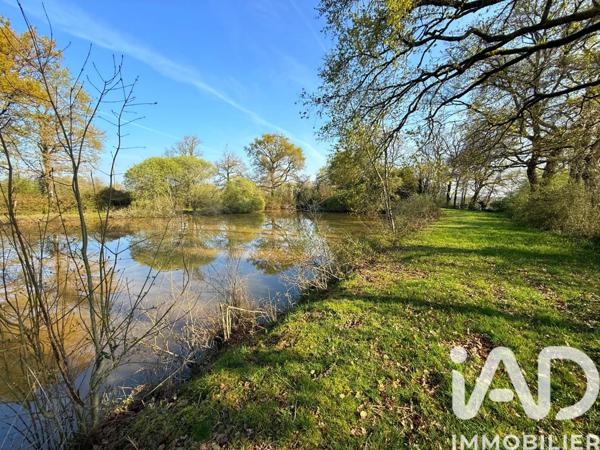 Terrain à vendre 20 970 m² Availles-Limouzine