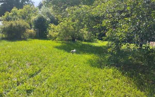 Maison à vendre    6 pièces •  Lamotte-Beuvron