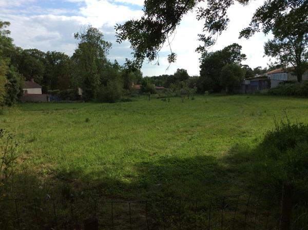 Terrain Le Champ Saint Père