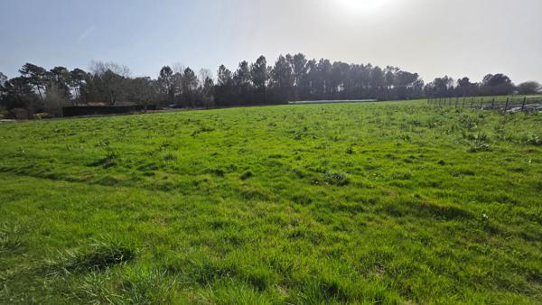 Terrain Constructible Montrem 2711 m2