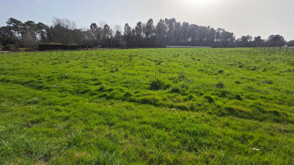 Terrain Constructible Montrem 2711 m2