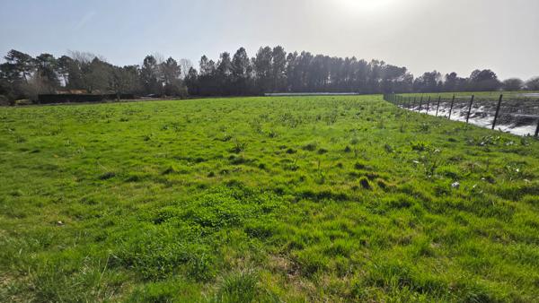 Terrain Constructible Montrem 2711 m2