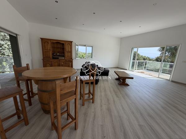 MAISON T6 + 2 APPARTEMENTS