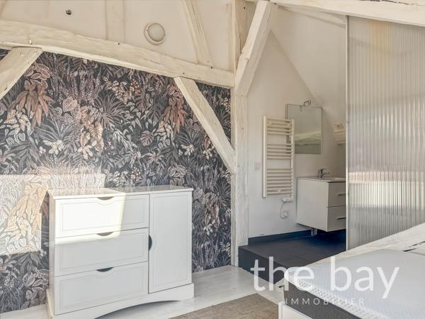 Tours (37000) Appartement d'exception au cœur du centre historique