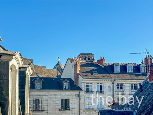 Tours (37000) Appartement d'exception au cœur du centre historique