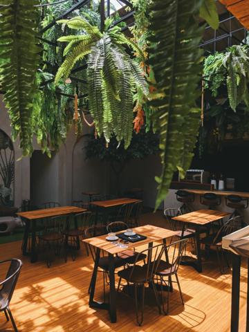 Exceptionnel LYON 7:Bar Restaurant 100 places + 110 en terrasse privative.