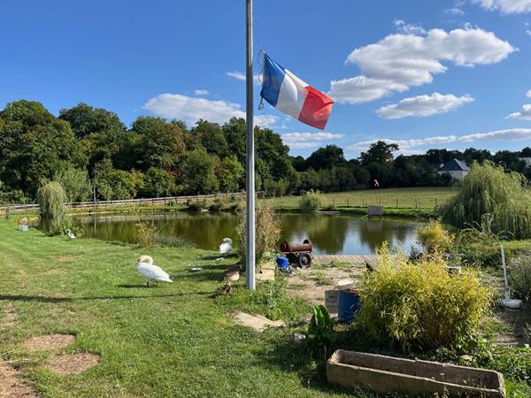Propriété équestre et gîtes de charme à Saint Ouen des Toits (15 min de Laval)