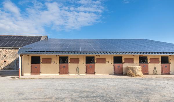 Propriété équestre et gîtes de charme à Saint Ouen des Toits (15 min de Laval)