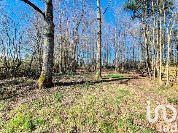 Terrain à vendre 3 380 m² Saint-Firmin-des-Bois