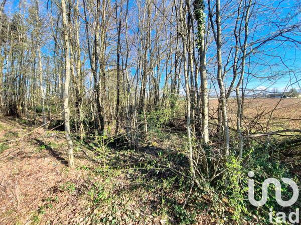 Terrain à vendre 3 380 m² Saint-Firmin-des-Bois