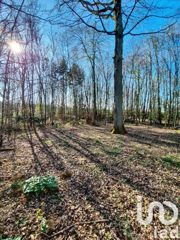 Terrain à vendre 3 380 m² Saint-Firmin-des-Bois