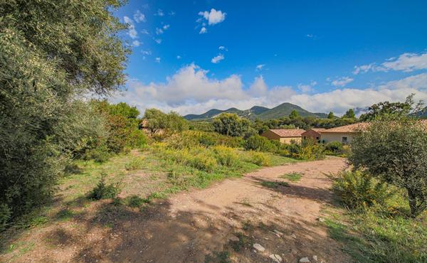 Achat terrain Saint-Florent - 1175 m² - 420 000 €