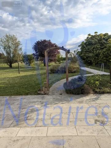 Achat - Maison Cour-Cheverny 41700 7 pièces 171 m 2 1932 m 2