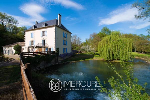 Moulin à Vivonne