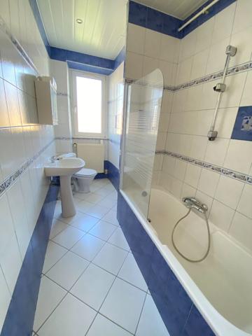 Appartement F3 (58 m²)   à vendre à CERNAY   avec GRENIER + CAVE et jardin en commun