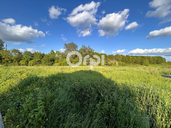 Terrain à vendre    Douai