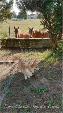 Appartement Saint Vincent De Paul 7 pièce(s) 119.17 m2