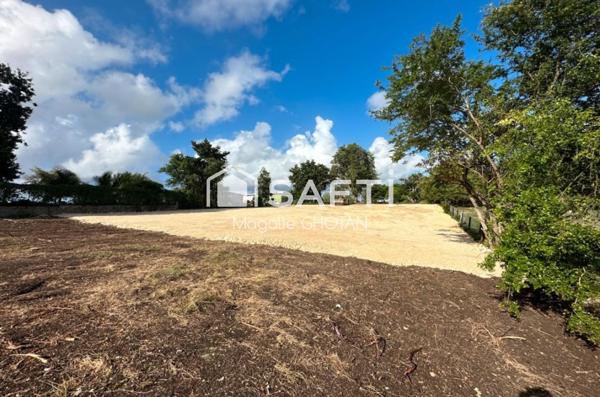 Terrain de 6389m2 à Sainte Anne