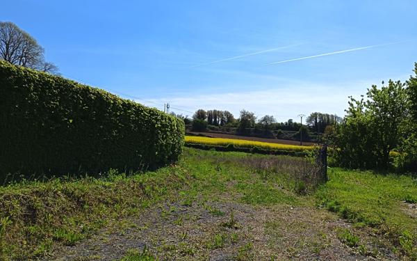 Terrain à vendre    Touffreville-sur-Eu