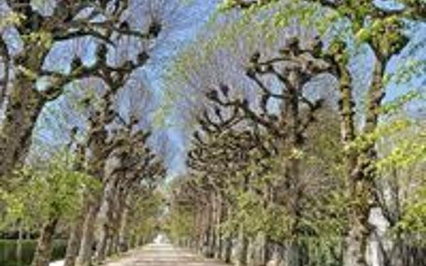 Appartement à louer    2 pièces •  Beaugency