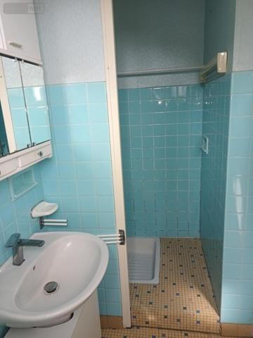 Maison à vendre à Saint-Berthevin en Mayenne (53940), ref : 53005-2110