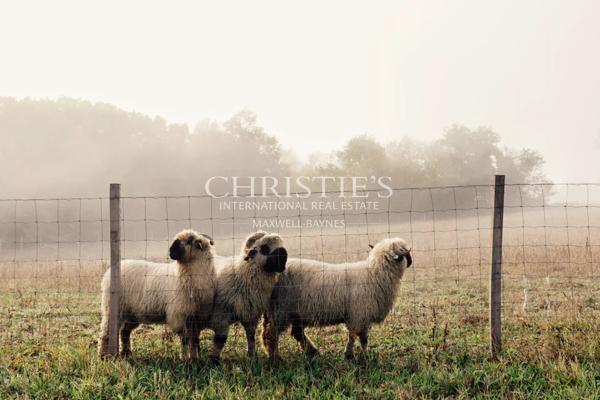 Magnifique propriété du XVIIIe siècle sur environ 12 hectares
