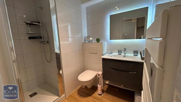 Appartement à louer 1 pièce 18.49m² Mulhouse (68100)