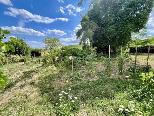 Vente Maison 5 pièces 157 m2 à Mittelwihr