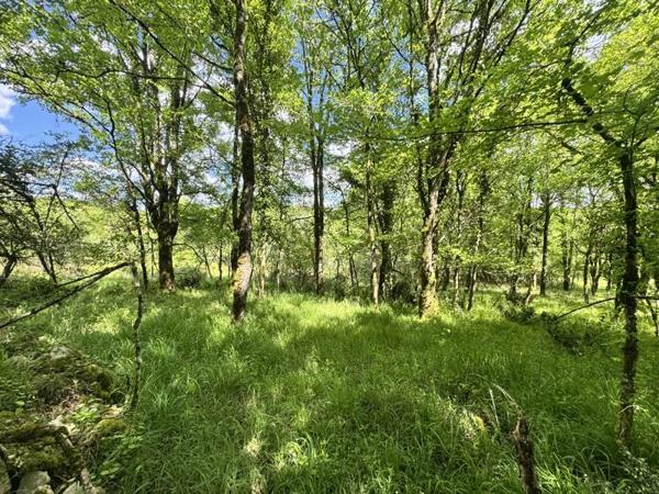 Terrain à vendre |  Luzech |  1987 m²