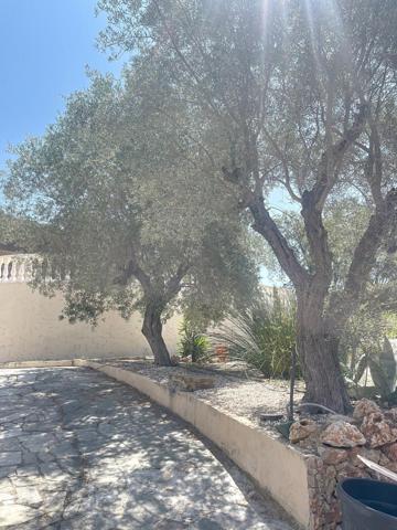 Gassin - Résidences du Golfe : villa au charme provençal avec piscine et studio indépendant