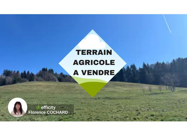 Terrain - 50000 m² Exclusivité