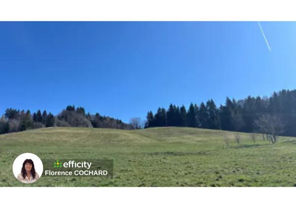 Terrain - 50000 m² Exclusivité