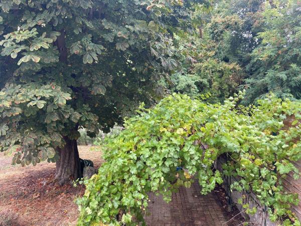 Maison de maître à vendre à Issoudun dans l'Indre (36100), ref : 11813/1465