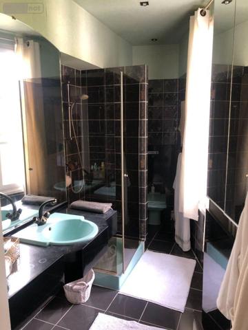 Maison de maître à vendre à Issoudun dans l'Indre (36100), ref : 11813/1465