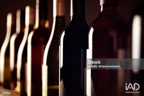 Bar-tabac à vendre 300 m² Eurre