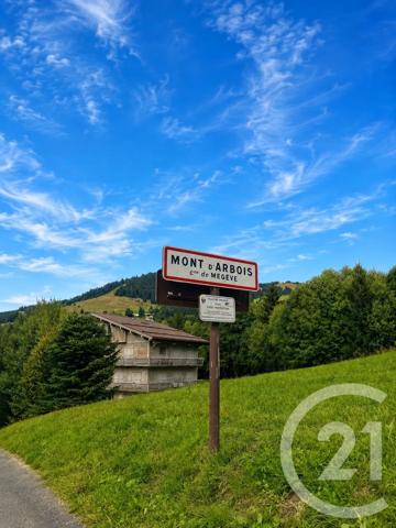 Maison à vendre  6 pièces - 184,10 m 2   MEGEVE  - 74