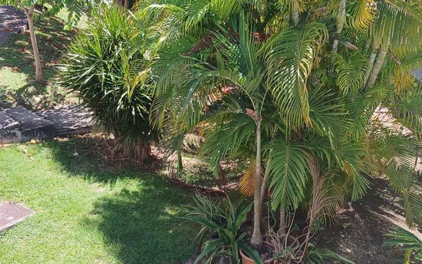 Appartement à vendre    2 pièces • 42,36 m2 Le Gosier