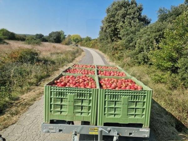Vente / Terrain agricole