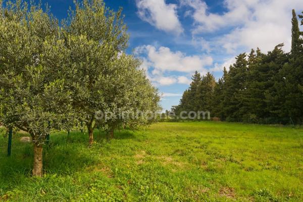 Un authentique mas provençal avec dépendance attenante, à moins de 5 minutes de la gare d'Orange